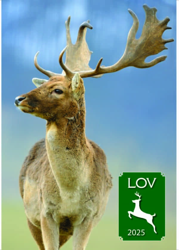 KOLEDAR LOV 2025 – B