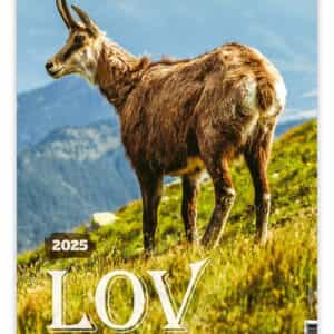 KOLEDAR LOV z lovnimi dobami 2025 – M
